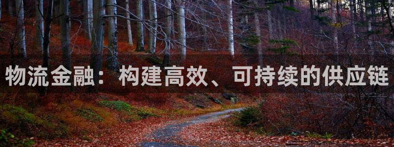 28圈登录流程：物流金融：构建高效、