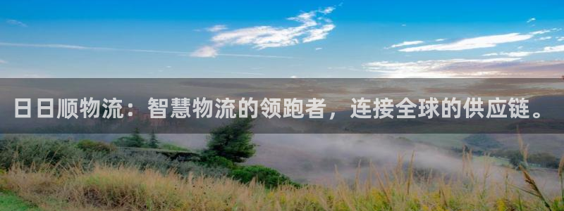 28圈充值金额随便：日日顺物流：智慧