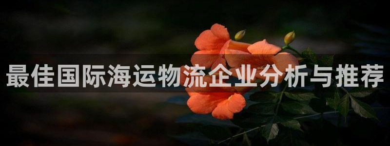 28圈注册网站多少钱一个：最佳国际海