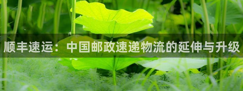 28圈正规吗：顺丰速运：中国邮政速递