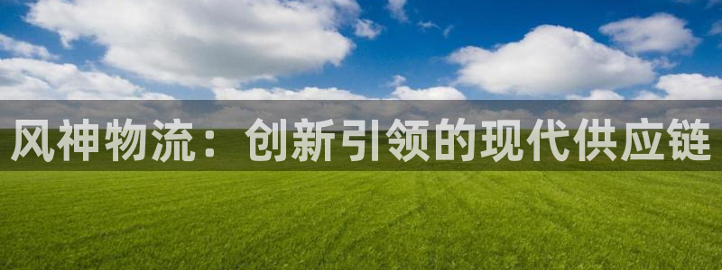 28圈注册网站谁有：风神物流：创新引