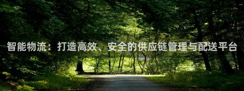 28圈.ccmapp：智能物流：打造