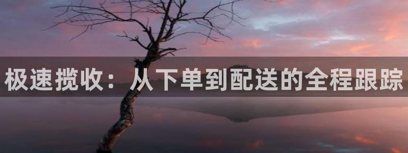 28圈注册网址百度知道：极速揽收：从