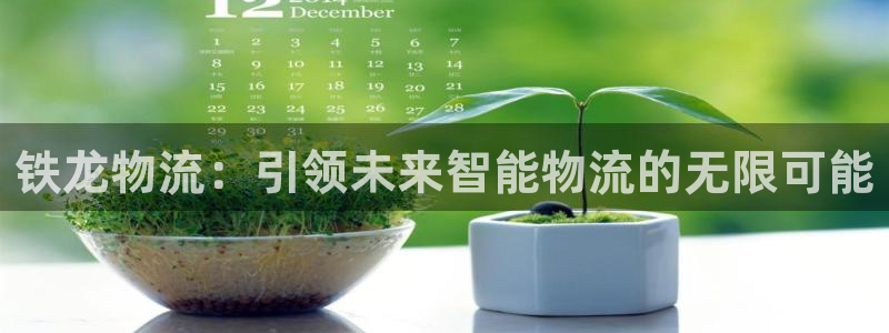 28圈游戏最新版：铁龙物流：引领未来