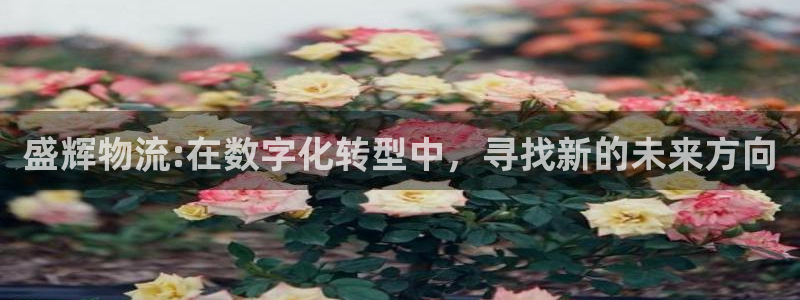 28圈比特28真实吗：盛辉物流:在数