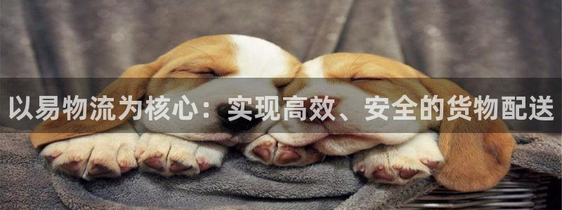 28圈赌博被抓：以易物流为核心：实现