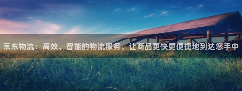28圈人头费：京东物流：高效、智能的
