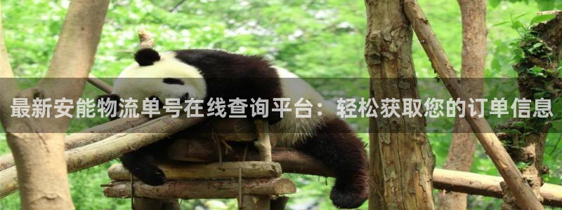 28圈客服一直不回消息怎么办：最新安