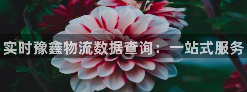 28圈官网下载链接是什么：实时豫鑫物