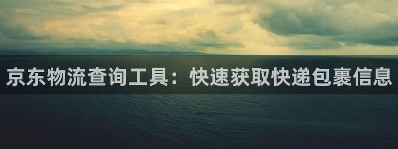 28圈登录：京东物流查询工具：快速获