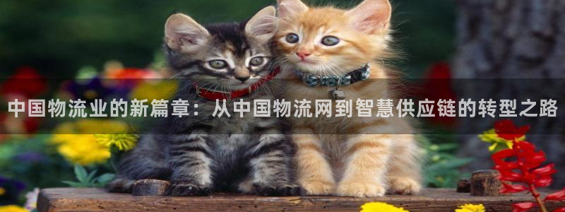 28圈能赢钱吗：中国物流业的新篇章：