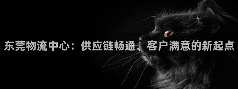 28圈游戏官网版：东莞物流中心：供应