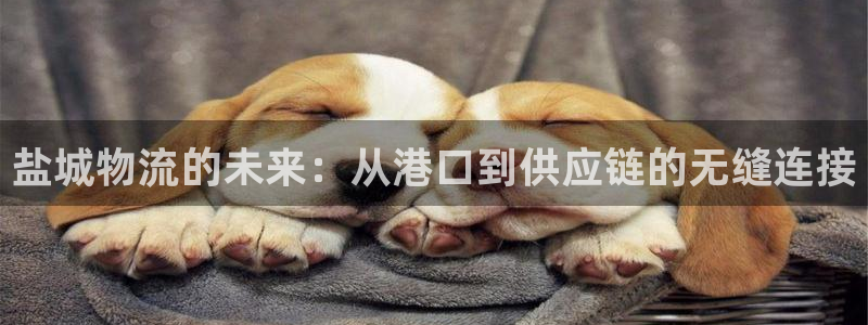 28圈稳吗：盐城物流的未来：从港口到