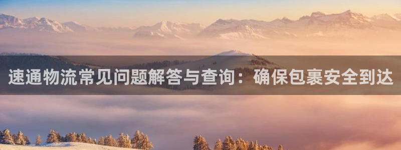 28圈连接：速通物流常见问题解答与查询：确保包裹安全到达