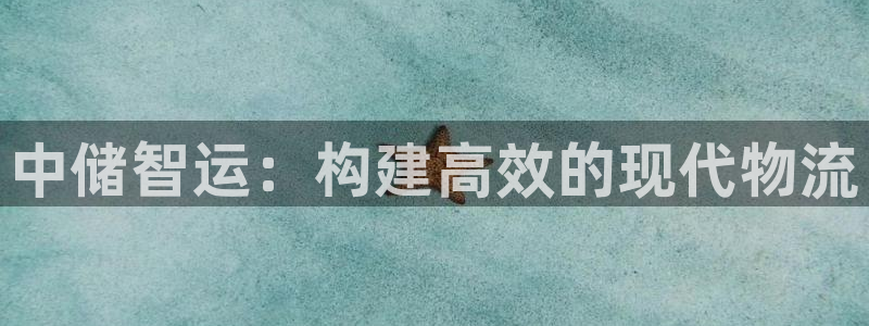 28圈注册网站谁有：中储智运：构建高