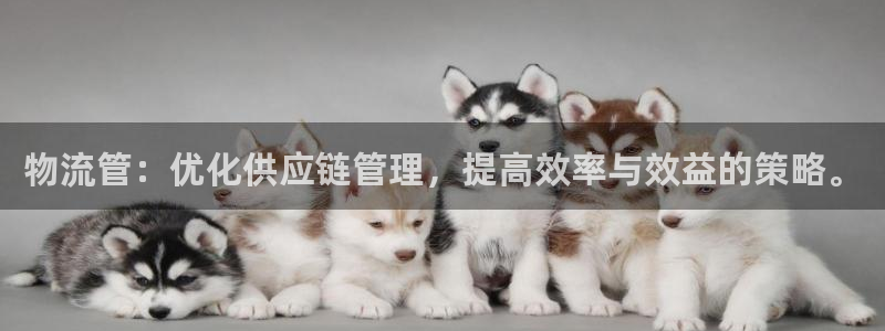 28圈注册网站APP：物流管：优化供