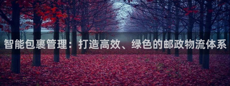 28圈能赢钱吗：智能包裹管理：打造高