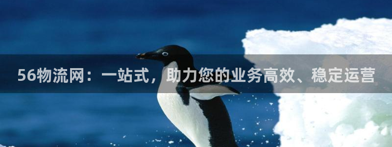28圈登陆网：56物流网：一站式，助力您的业务高效、稳定运营