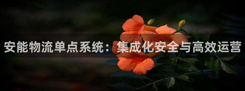 28圈注册二维码：安能物流单点系统：