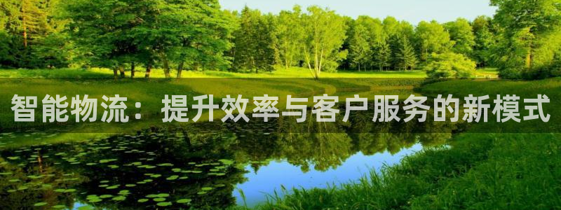 28圈龙虎：智能物流：提升效率与客户