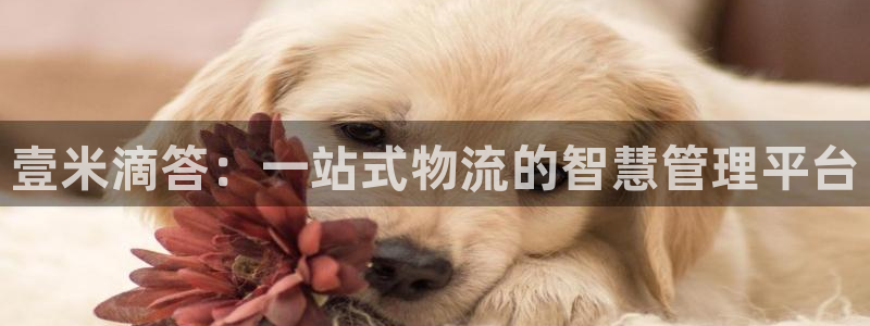 自行车28圈是什么意思：壹米滴答：一