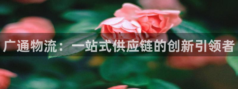 28圈账号注册：广通物流：一站式供应
