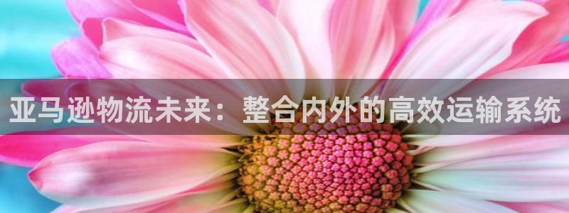 28圈加拿大真假怎么看：亚马逊物流未