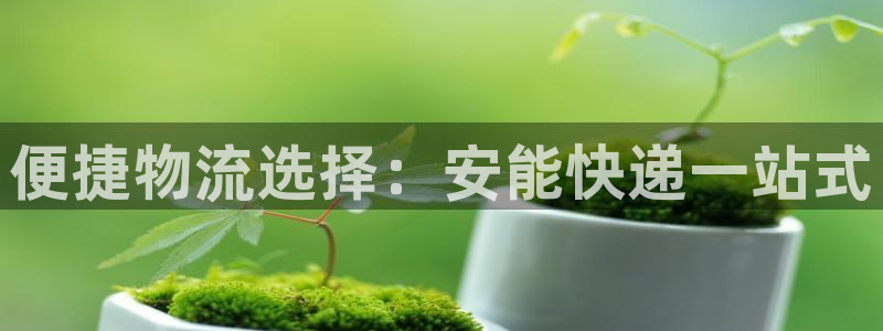 28圈注册登录：便捷物流选择：安能快
