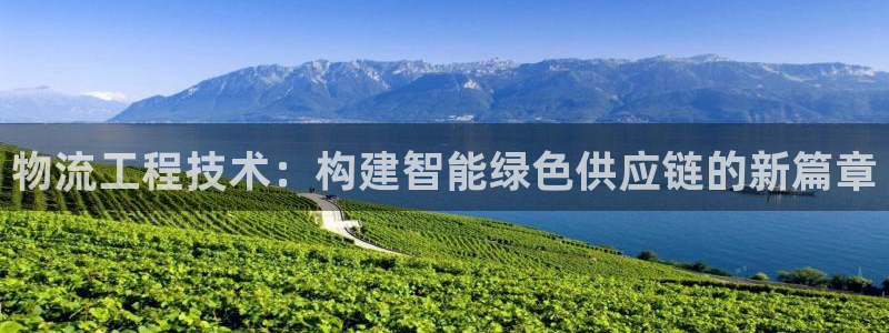 28圈官网平台下载：物流工程技术：构建智能绿色供应链的新篇章