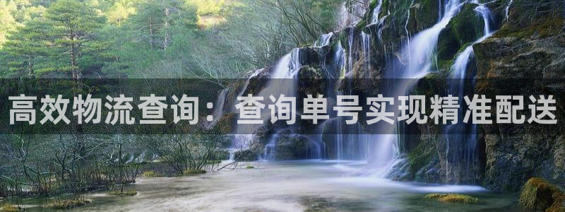 28圈是正规软件吗：高效物流查询：查