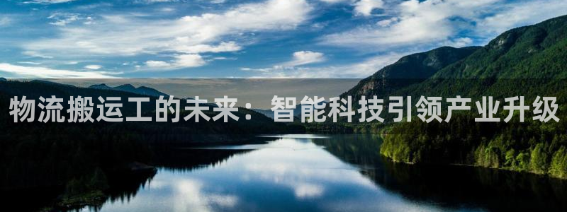 28圈充值不到账什么原因：物流搬运工