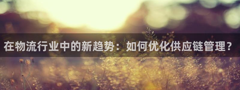28圈加拿大在线预测：在物流行业中的新趋势：如何优化供应链管