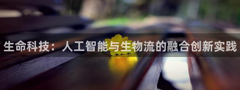 28圈官方官网版