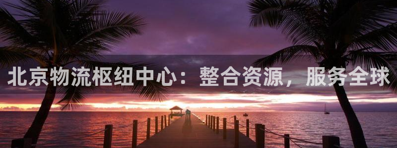 28圈网赌案件