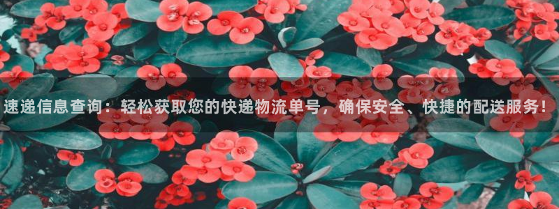 28圈系统自动保护