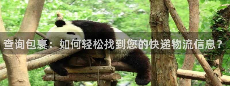28圈预测：查询包裹：如何轻松找到您