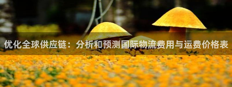 28圈里的财神：优化全球供应链：分析