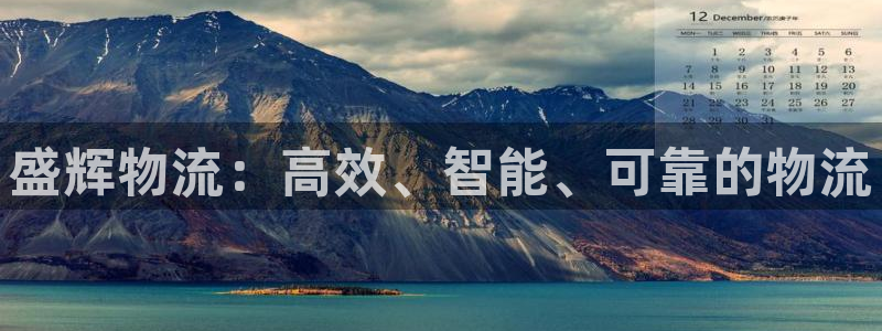 28圈提现不到账：盛辉物流：高效、智