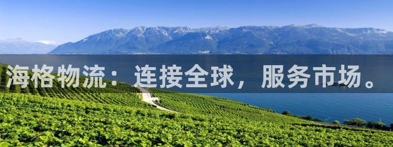 28圈p扣除：海格物流：连接全球，服