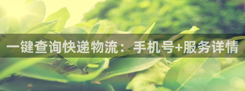 28圈PG电子游戏