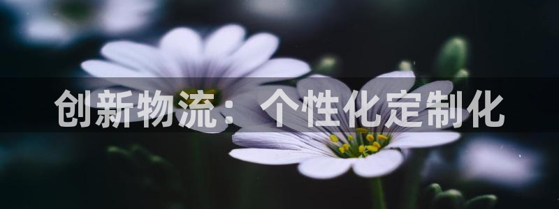 28圈链官网：创新物流：个性化定制化