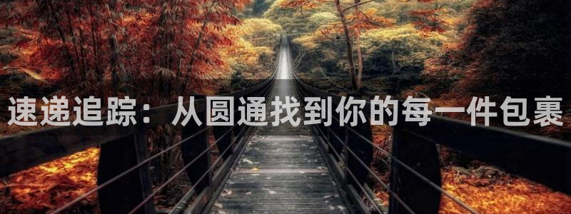 28圈官方版正版：速递追踪：从圆通找