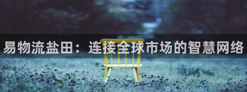 28圈代理落网：易物流盐田：连接全球