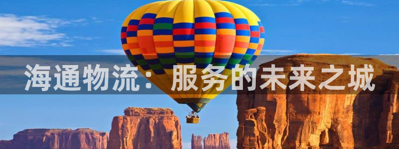 28圈登录不上咋回事：海通物流：服务