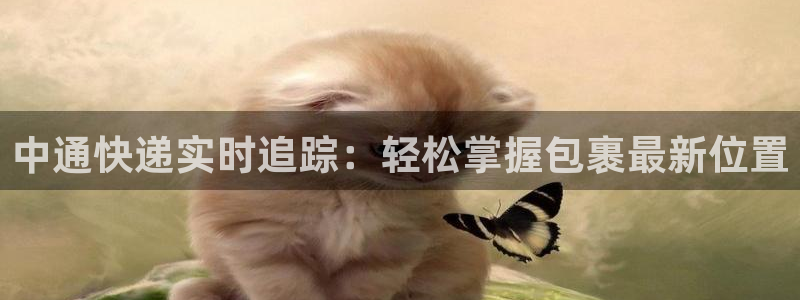 28圈稳吗：中通快递实时追踪：轻松掌