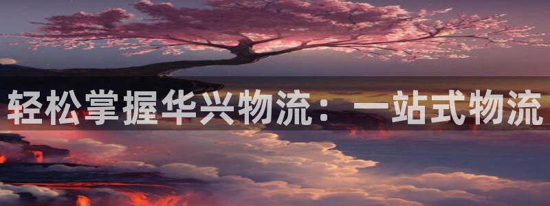 28圈登陆网：轻松掌握华兴物流：一站