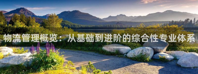 28圈注册网址：物流管理概览：从基础