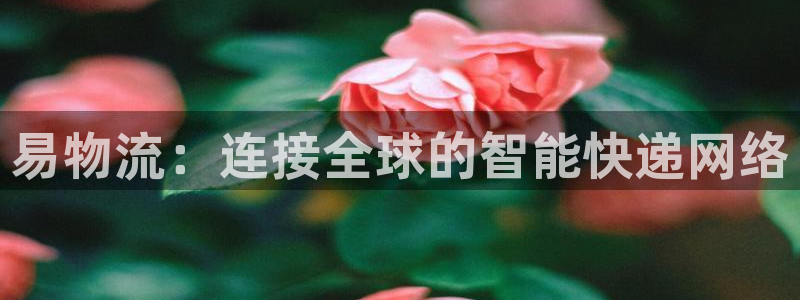 28圈app官网少林足球：易物流：连