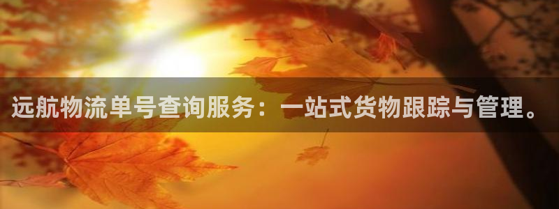 28圈是什么软件