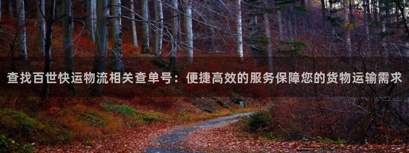 28圈注册教程：查找百世快运物流相关查单号：便捷高效的服务保